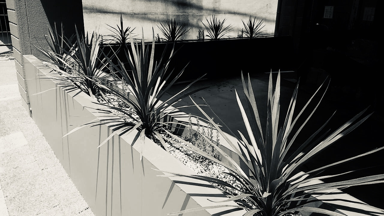 株式会社malbadesign